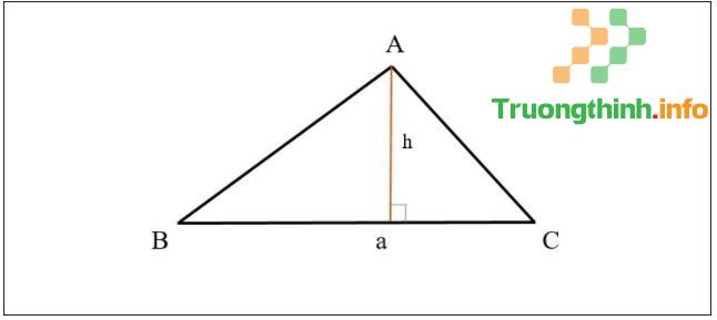                       Công thức cách tính diện tích hình tam giác thường, đều, vuông, cân