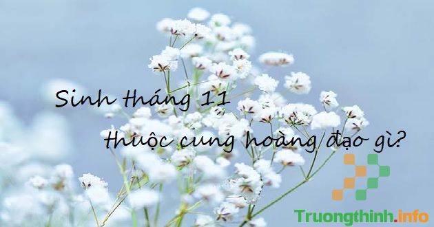                       Sinh tháng 11 là cung hoàng đạo gì, thuộc mệnh gì?