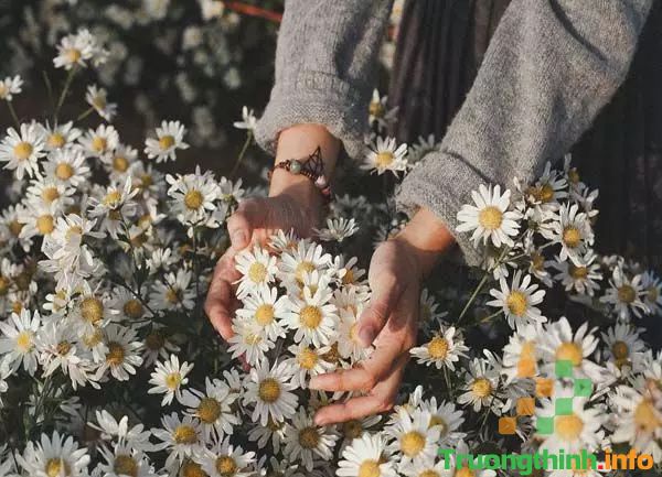                       Bài thơ hay về tháng 11 yêu thương, thơ tình tháng 11 ngắn