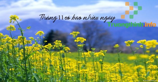                       Tháng 11 Âm lịch, Dương lịch có bao nhiêu ngày?