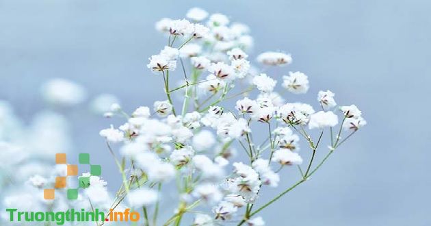                       Tháng 11 Âm lịch, Dương lịch có bao nhiêu ngày?
