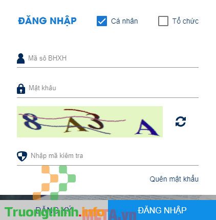                       Cách đăng ký, nộp hồ sơ làm bảo hiểm thất nghiệp online