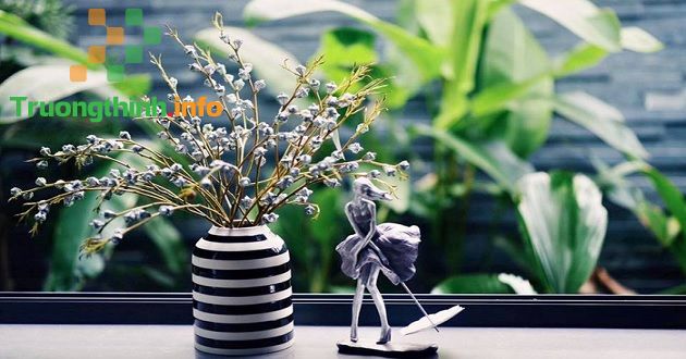                       Hoa ô mai là gì? Tại sao hoa bạch đàn được gọi là cành ô mai?