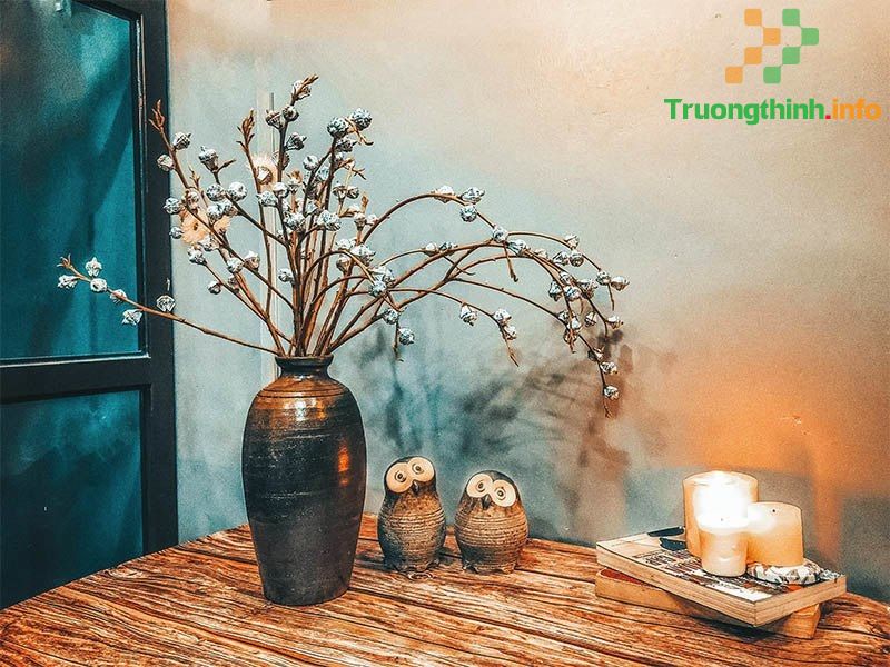                       Hoa ô mai là gì? Tại sao hoa bạch đàn được gọi là cành ô mai?