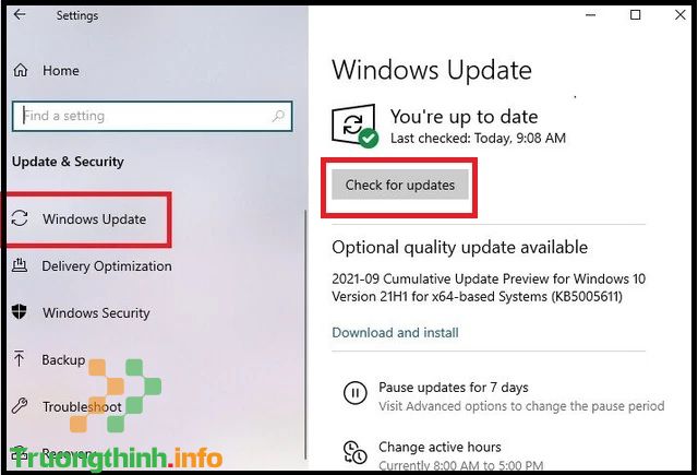                       Cách update lên Win 11 chính thức từ Win 10