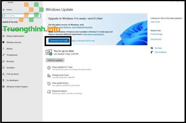                       Cách update lên Win 11 chính thức từ Win 10