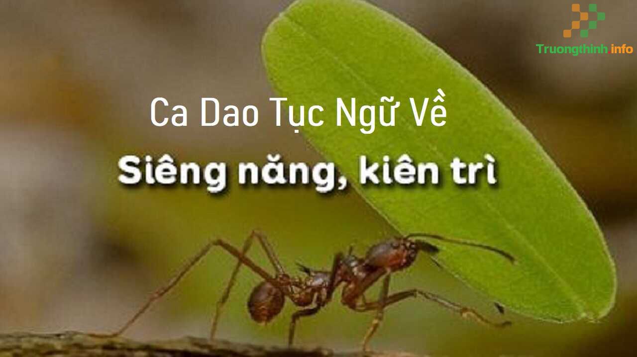                       Những câu ca dao tục ngữ nói về tính siêng năng kiên trì