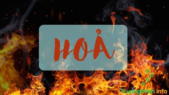                       Mệnh Hỏa hợp cây gì? 10 cây phong thủy cho người mệnh Hỏa
