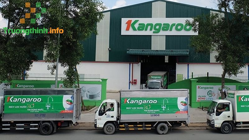 Thương hiệu Kangaroo là của nước nào? Có những sản phẩm gì? Tốt không? - Tin Công Nghệ