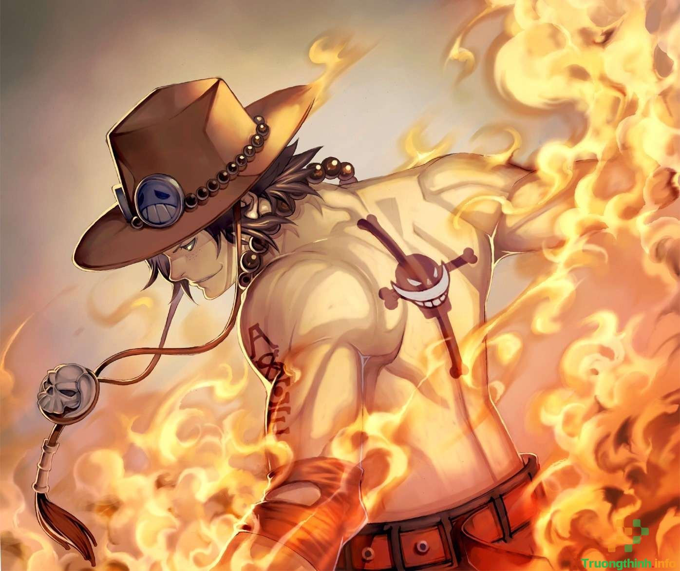                       Hình ảnh anime One Piece, ảnh One Piece 4K đẹp, cute, ngầu nhất