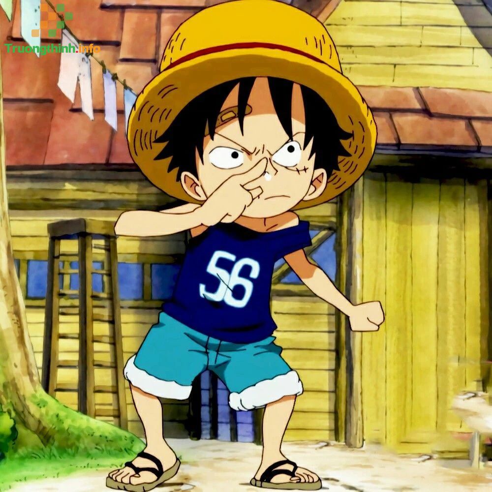                       Hình ảnh Luffy cực ngầu, ảnh Luffy dễ thương cute đẹp nhất