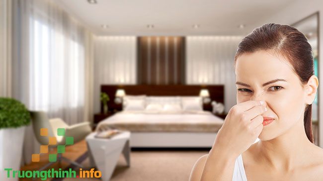                       10+ Mẹo làm sao để phòng ngủ luôn thơm tự nhiên, dễ chịu ai cũng cần biết