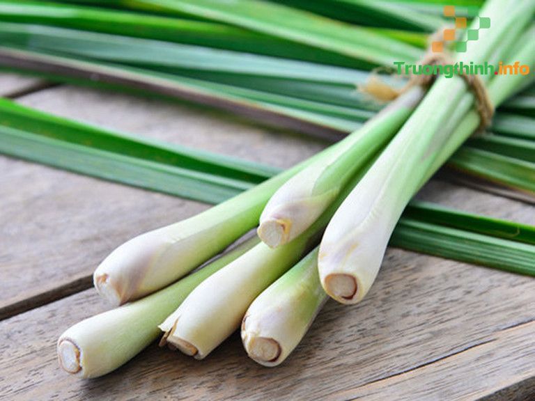                       10+ Mẹo làm sao để phòng ngủ luôn thơm tự nhiên, dễ chịu ai cũng cần biết