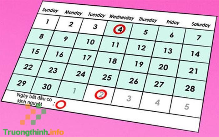                       Cách tính ngày rụng trứng cho người kinh nguyệt không đều