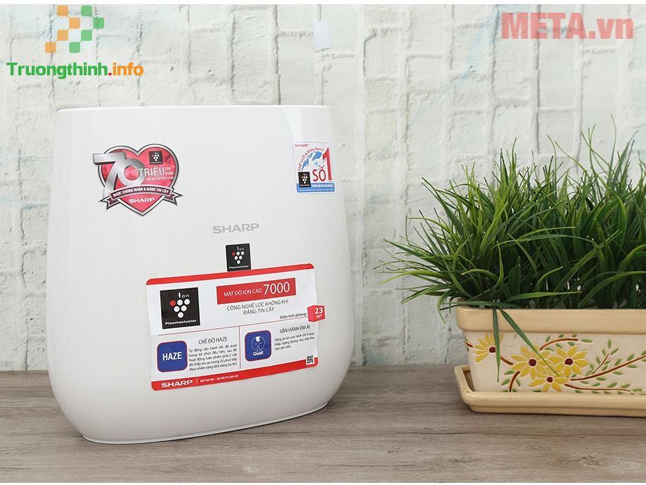                       Top 10 loại cây lọc không khí hiệu quả nhất nên trồng trong nhà