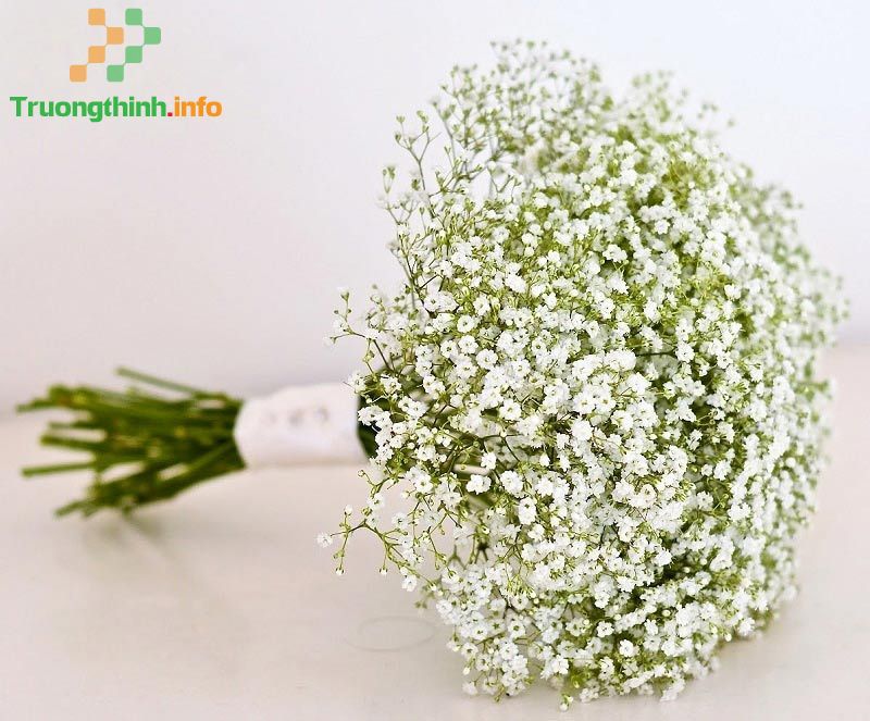                       Các mẫu hoa cưới cầm tay cô dâu đơn giản, đẹp nhất 2021