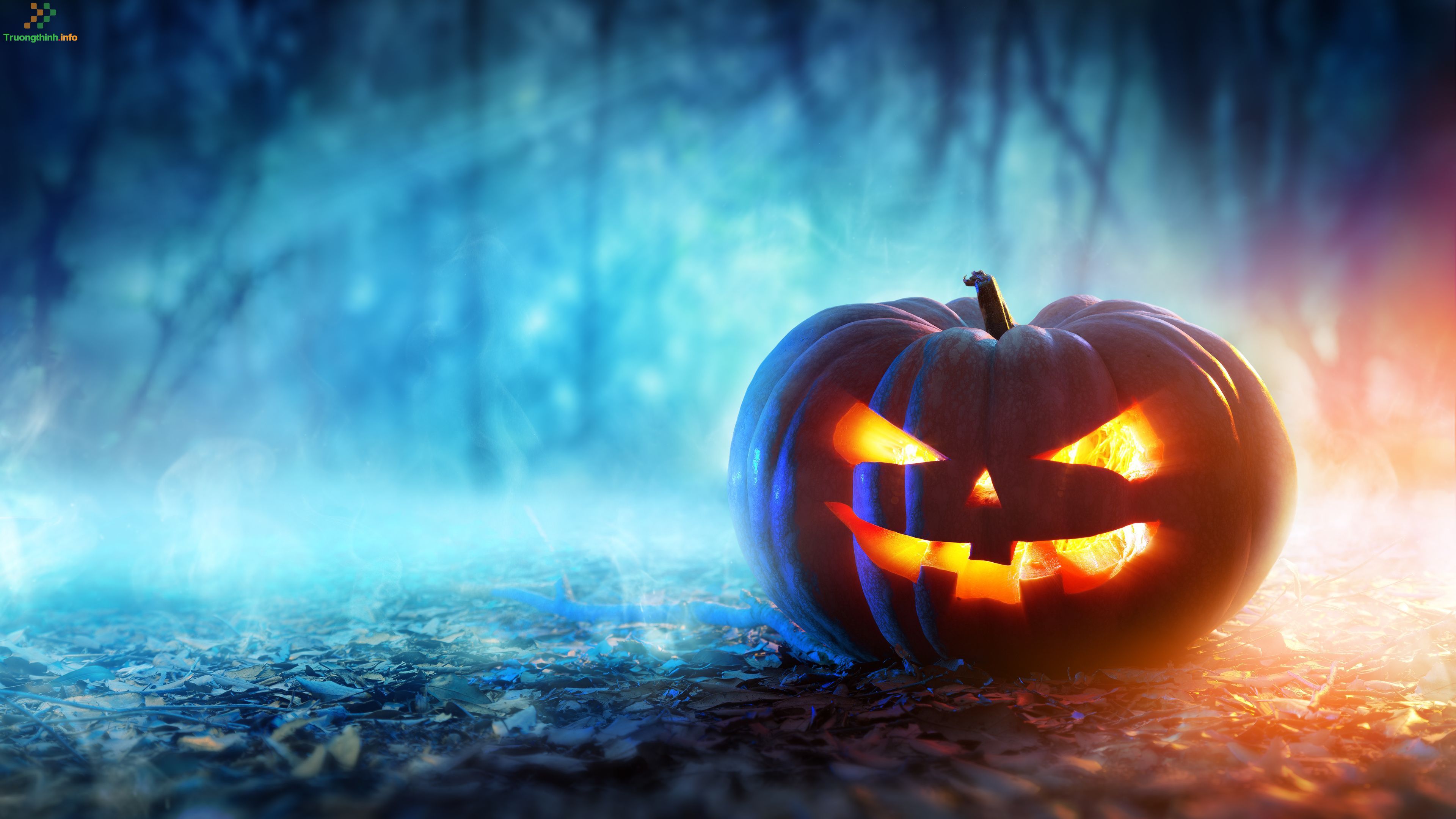                       Các mẫu background Halloween đẹp nhất