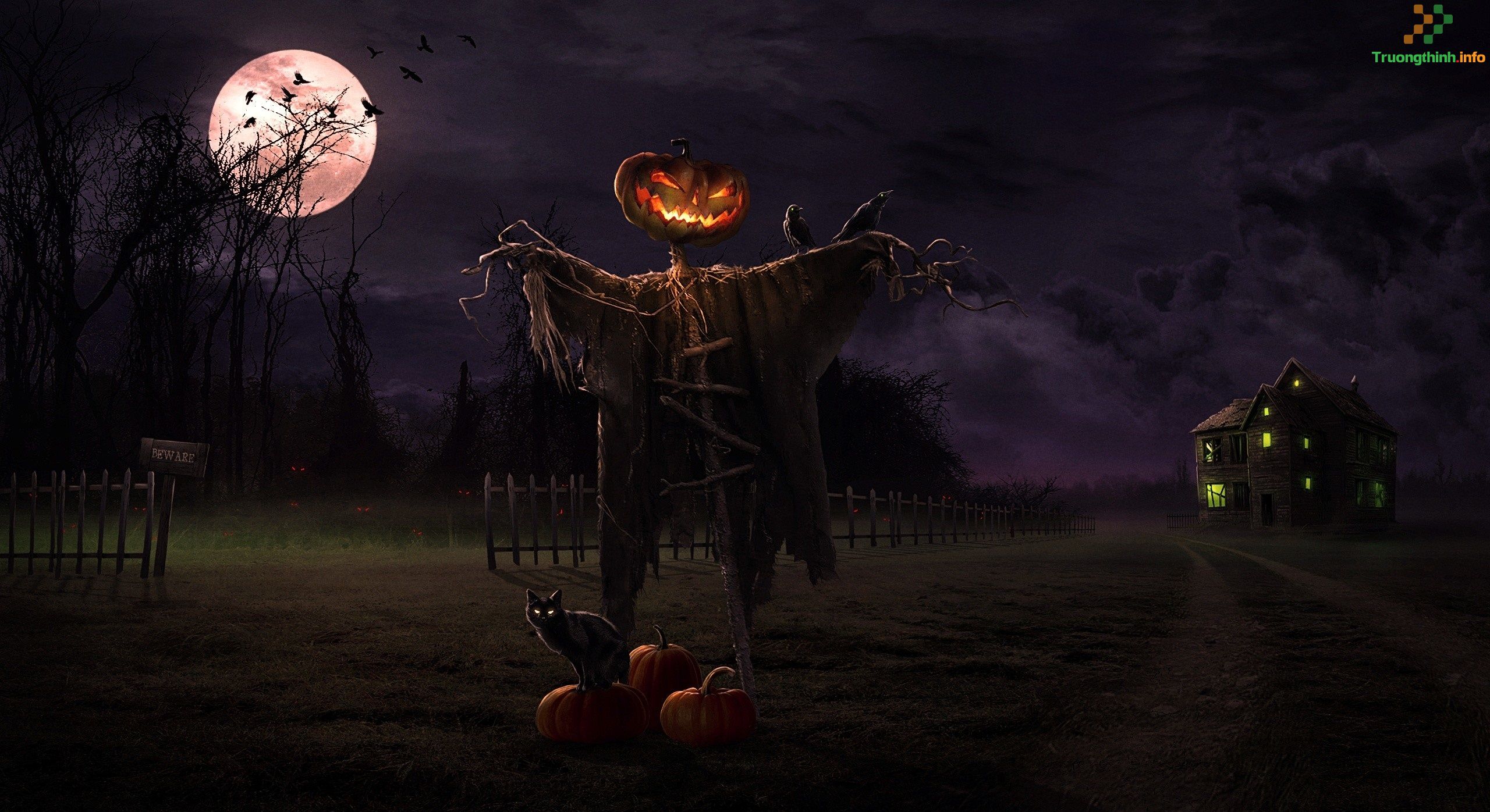                       Các mẫu background Halloween đẹp nhất