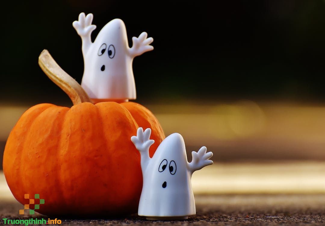                       Hình nền Halloween cho điện thoại, máy tính đẹp nhất