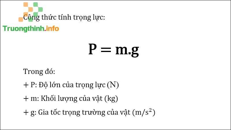 Trọng lực là gì? Công thức tính trọng lực & bài tập có đáp án chi tiết - Tin Công Nghệ