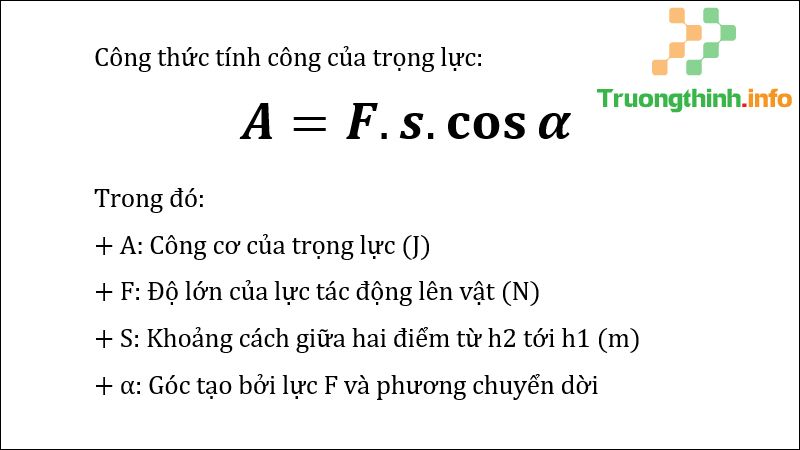 Trọng lực là gì? Công thức tính trọng lực & bài tập có đáp án chi tiết - Tin Công Nghệ