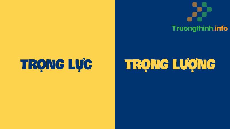 Trọng lực là gì? Công thức tính trọng lực & bài tập có đáp án chi tiết - Tin Công Nghệ