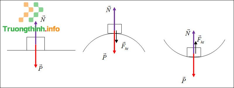 Lực hướng tâm là gì? Công thức tính lực hướng tâm và bài tập có đáp án - Tin Công Nghệ