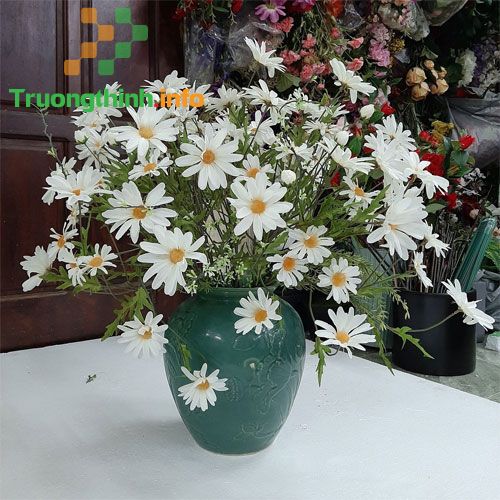                       Thơ về cúc họa mi hay cho những ngày đầu đông thêm lãng mạn