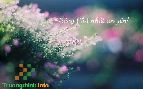                       Lời chúc cuối tuần thứ 7, Chủ nhật vui vẻ bằng hình ảnh đẹp