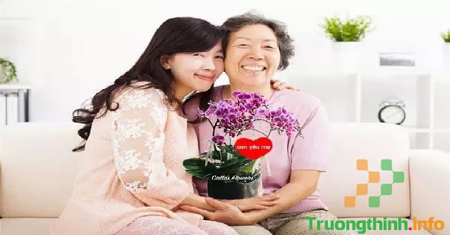                       Những lời chúc 20/10 cho mẹ chồng hay, ý nghĩa, ngắn gọn