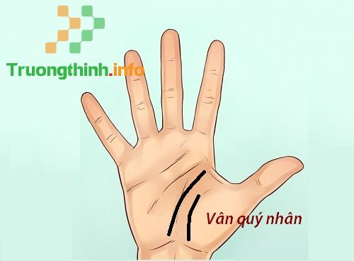                       Khám phá những đường chỉ tay đặc biệt, các đường chỉ tay lạ