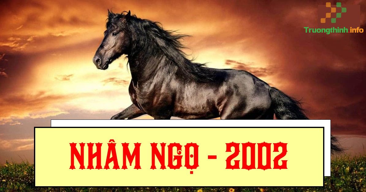 Sinh năm 2002 mệnh gì, tuổi con gì, hợp với màu gì?