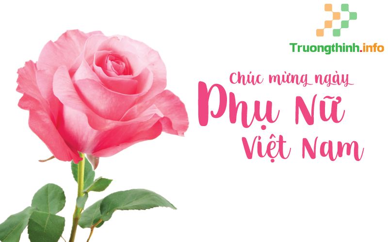                       Lời chúc 20/10 cho bạn bè hay nhất