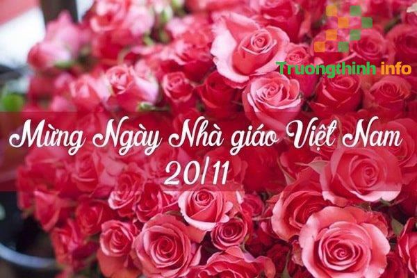                       Những lời chúc mừng Ngày Nhà giáo Việt Nam 20/11 hay, ý nghĩa, ngắn gọn