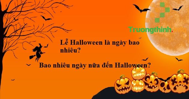                       Lễ Halloween là ngày bao nhiêu? Bao nhiêu ngày nữa đến Halloween?