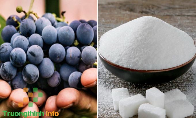                       Cách ngâm rượu nho với đường, không đường (với rượu trắng) ngon