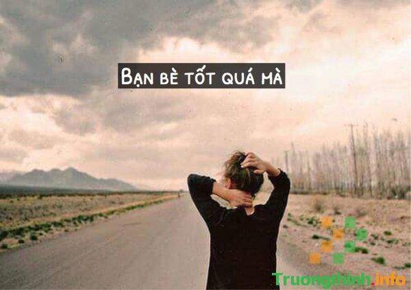                       Stt về bạn bè đểu chất thấm, những câu nói hay về tình bạn đểu