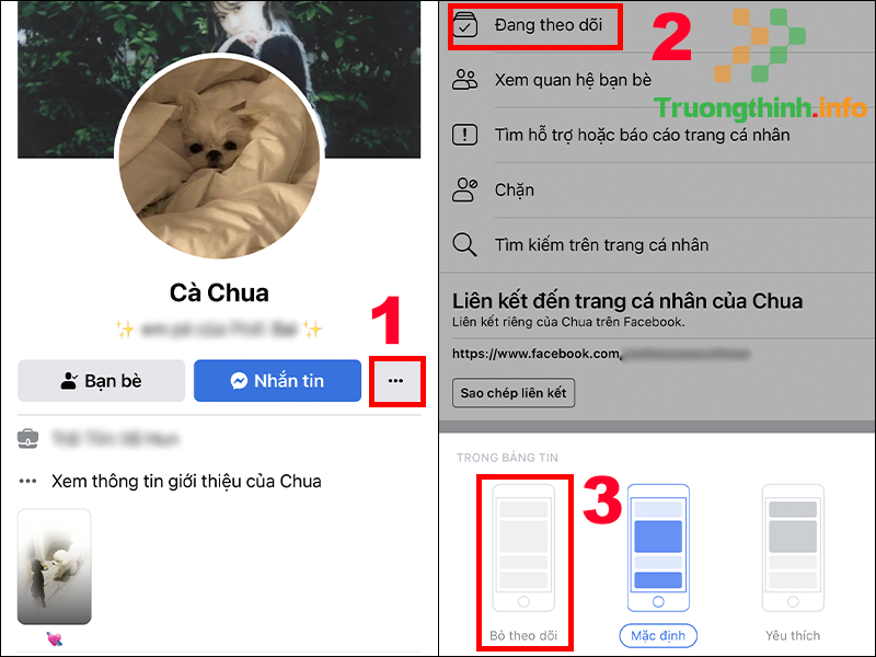 Hướng dẫn cách bỏ theo dõi người, nhóm hoặc trang trên Facebook (2021) - Tin Công Nghệ