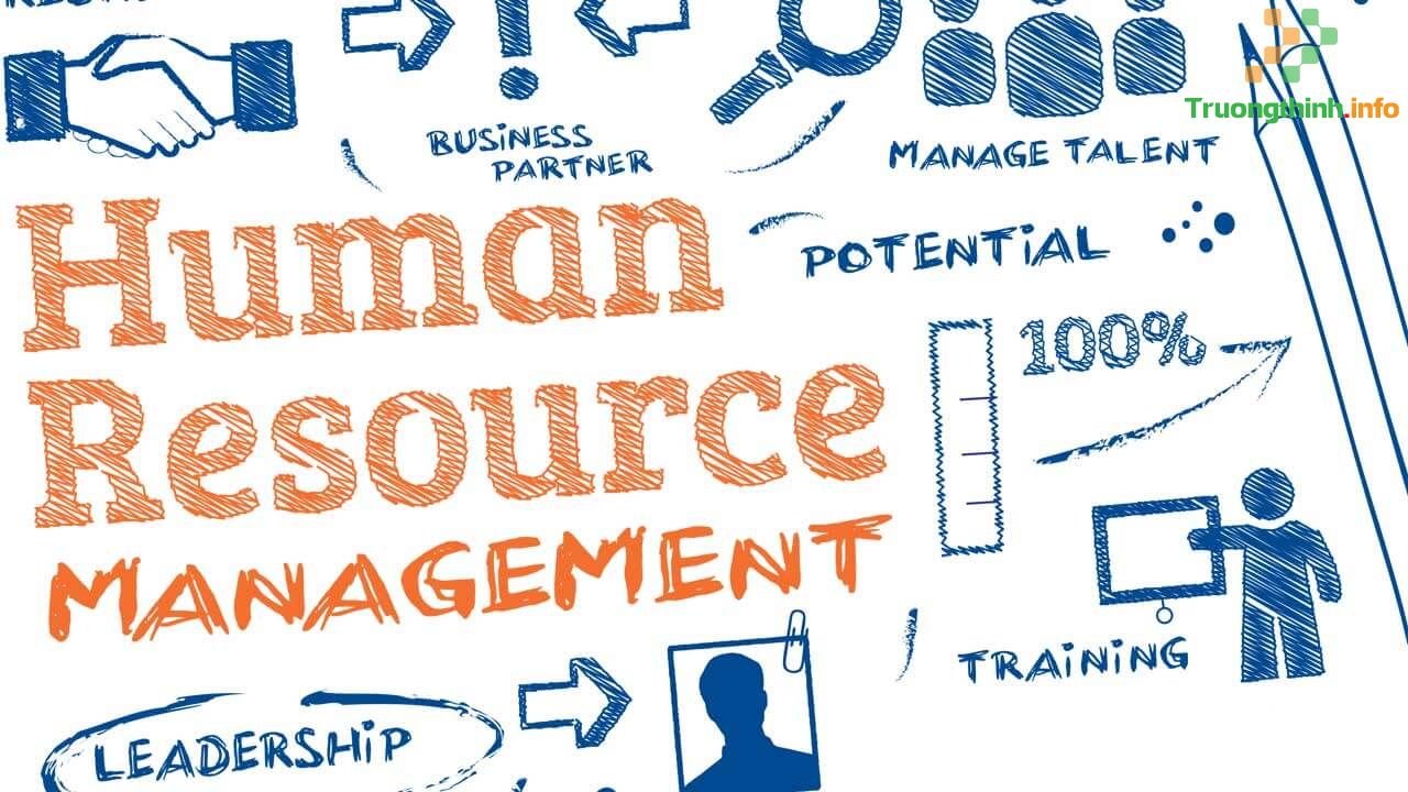                           Human Resources là gì? Human Resource Management HRM là gì?