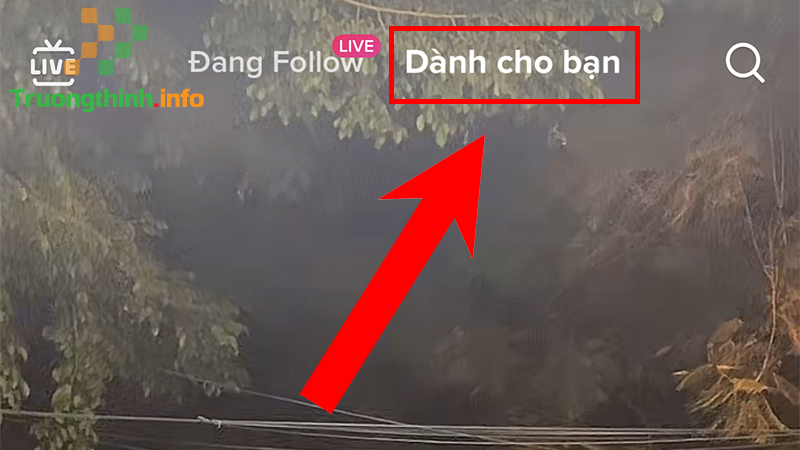 Những cách tăng follow TikTok hiệu quả, miễn phí nhanh nhất năm 2021 - Tin Công Nghệ