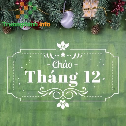                           Stt chào tháng 12 yêu thương hay, hình ảnh tháng 12 đẹp