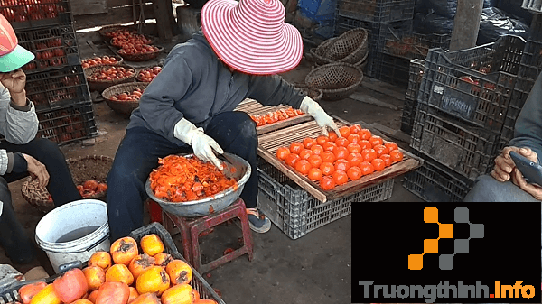                           Cách làm hồng sấy dẻo bằng máy sấy nhanh và ngon nhất