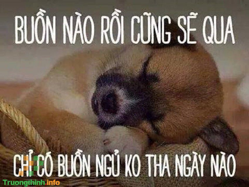                           Hình ảnh meme hài hước, ảnh chế meme vui nhộn, bá đạo