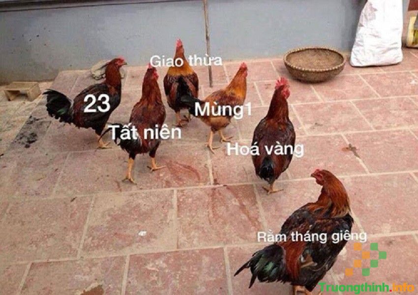                           Hình ảnh meme hài hước, ảnh chế meme vui nhộn, bá đạo