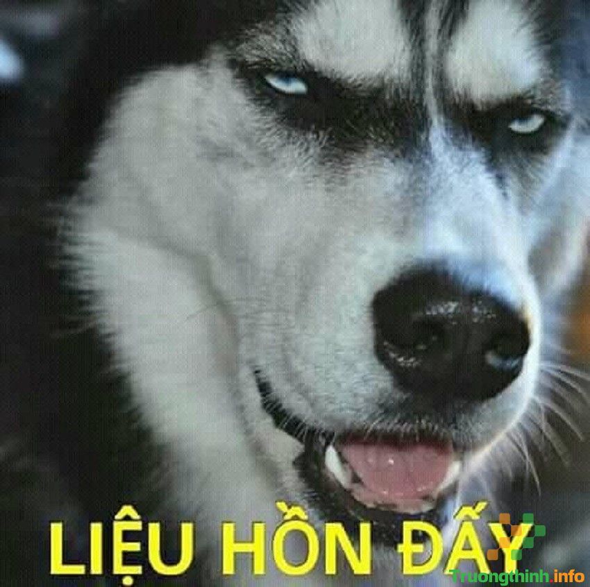                           Hình ảnh meme hài hước, ảnh chế meme vui nhộn, bá đạo