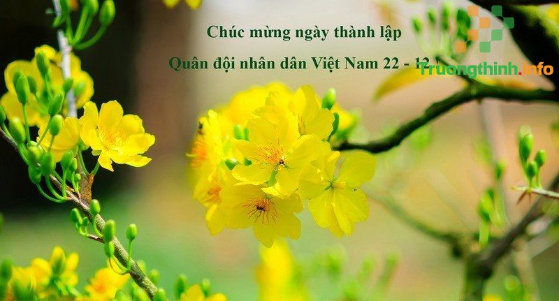                           Mẫu thiệp chúc mừng ngày 22 tháng 12 đẹp, ý nghĩa nhất