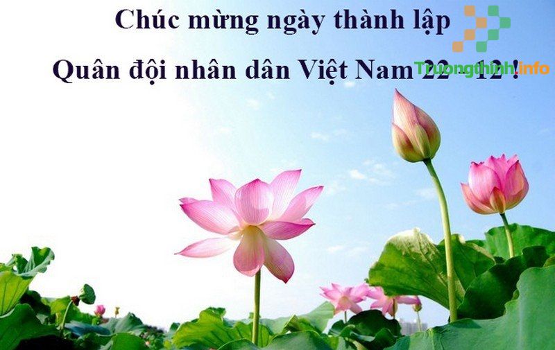                           Mẫu thiệp chúc mừng ngày 22 tháng 12 đẹp, ý nghĩa nhất