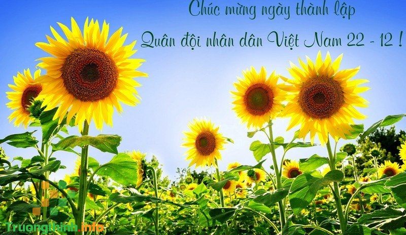                           Mẫu thiệp chúc mừng ngày 22 tháng 12 đẹp, ý nghĩa nhất