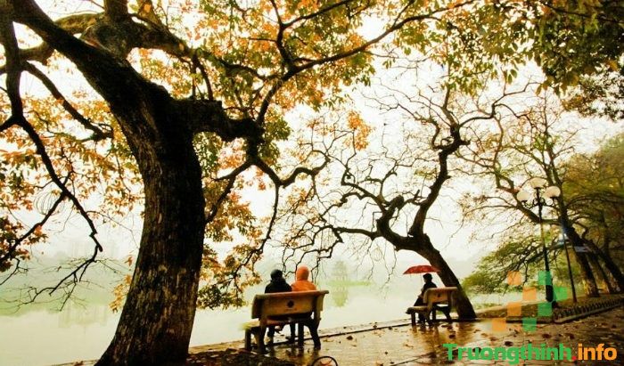                           Stt về trời lạnh hay, cap thả thính trời lạnh chất ngắn