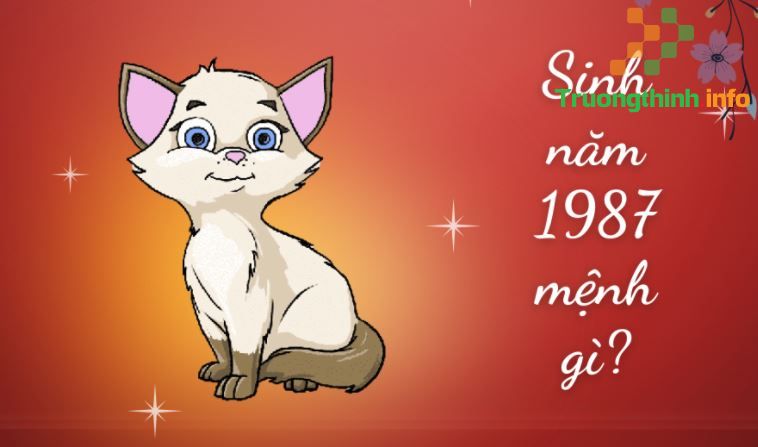                           Sinh năm 1987 mệnh gì, tuổi con gì, hợp màu gì, cây gì?